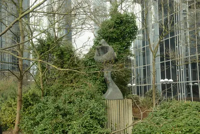 DSC_1370 (Large).JPG